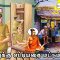 வள்ளுவம் காட்டும் வாழ்வியல் | அறிவுக்கு எட்டியதை மட்டும் செய் | பாகம் 261 | ShreeTV  |