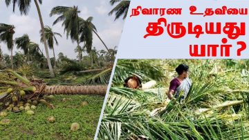 | நிவாரண உதவியை திருடியது யார்? |