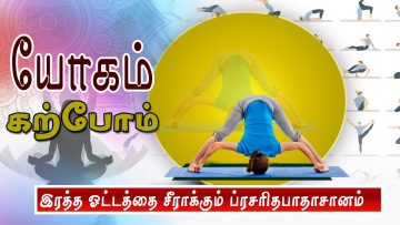 யோகம் கற்போம் |#Yoga |  இரத்த ஓட்டத்தை சீராக்கும் ப்ரசரிதபாதாசானம்  | ShreeTv |