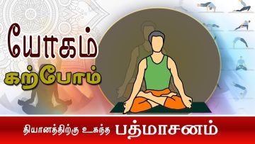 யோகம் கற்போம் |#Yoga |  தியானத்திற்கு உகந்த பத்மாசனம்  | ShreeTv |