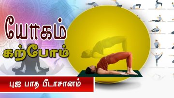 யோகம் கற்போம் |#Yoga |  புஜ பாத பீடாசானம்  | ShreeTv |