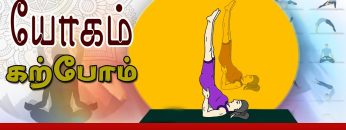 யோகம் கற்போம் |#Yoga |  தைராய்டு பிரச்சினை தீர விபரித கரணி  | ShreeTv |