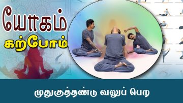 யோகம் கற்போம் |#Yoga | முதுகுத்தண்டு வலுப் பெற | ShreeTv |