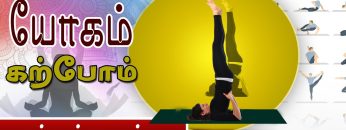 யோகம் கற்போம் |#Yoga |  சர்வாங்காசனம்  | ShreeTv |