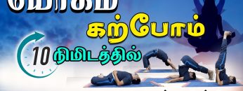 யோகம் கற்போம் |#Yoga | 4 வகையான யோக பயிற்சி | ShreeTv |