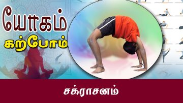 யோகம் கற்போம் |#Yoga |  சக்ராசனம்  | ShreeTv |