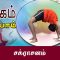 யோகம் கற்போம் |#Yoga |  சக்ராசனம்  | ShreeTv |