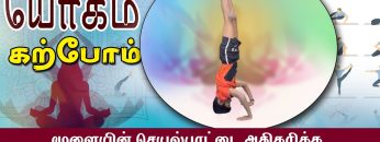 யோகம் கற்போம் | #Yoga | மூளையின் செயல்பாட்டை அதிகரிக்க சிரசாசனம் | ShreeTv |