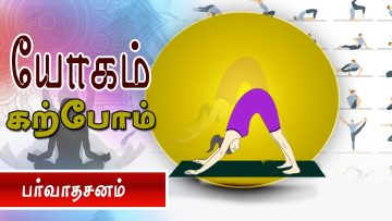 யோகம் கற்போம் |#Yoga | பர்வாதசனம் | ShreeTv |