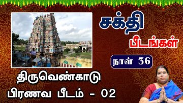 சக்தி பீடங்கள்  | திருவெண்காடு பிரணவ பீடம் 02 | Sakthi Peedam | ShreeTV | Thiruvengadu 02 | Day 36 |