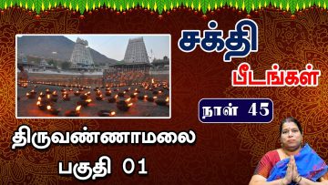 சக்தி பீடங்கள்  |திருவண்ணாமலை பகுதி 01| Sakthi Peedam |ShreeTV|  Thiruvannamalai 01 | Day 45 |