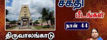 சக்தி பீடங்கள்  |திருவாலங்காடு காளி பீடம் 02| Sakthi Peedam |ShreeTV|  Thiruvalangadu 02 | Day 44 |