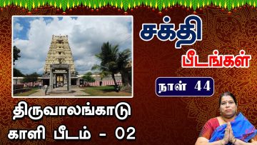 சக்தி பீடங்கள்  |திருவாலங்காடு காளி பீடம் 02| Sakthi Peedam |ShreeTV|  Thiruvalangadu 02 | Day 44 |
