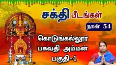 சக்தி பீடங்கள்  |  கொடுங்கல்லூர் பகவதி அம்மன் பகுதி – 01 | Sakthi Peedam | ShreeTV | Day 54 |