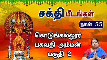 சக்தி பீடங்கள்  |  கொடுங்கல்லூர் பகவதி அம்மன் பகுதி – 02 | Sakthi Peedam | ShreeTV | Day 55 |